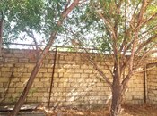 Satılır  torpaq 6 sot, Azadlıq Prospekti m., photo 6 from 6