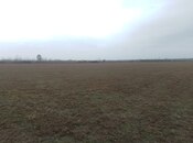 Elan №5799566 - Zaqatala, Zaqatala, 74 sot