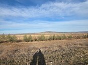 Продаётся  участок 1 000 сот, Абшеронcкий  р., photo 4 from 8