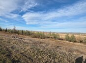 Продаётся  участок 1 000 сот, Абшеронcкий  р., photo 8 from 8