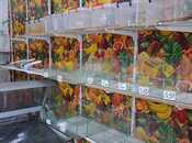 Сдаётся  объект 70 м², пос. Кешля, photo 3 from 4