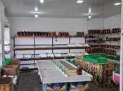 Объявление №5800073 - Баку, пос. Кешля, 70 м²