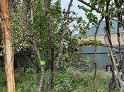 Объявление №5800107 - Евлах, Евлах, 7 сот