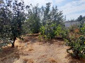 Продаётся  участок 7.5 сот, пос. Бадамдар, photo 3 from 5