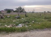 Продаётся  участок 4 сот, пос. Забрат, photo 6 from 8