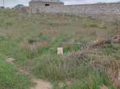 Elan №5595479 - Bakı, Buzovna q., 8 sot