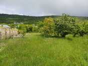 Объявление №5801500 - Шемаха, Шемаха, 12 сот