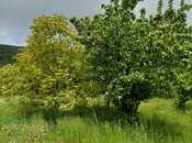 Продаётся  участок 12 сот, photo 5 from 6