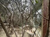 Satılır  obyekt 200 m², İnşaatçılar m., photo 6 from 8