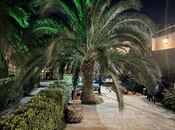 İcarəyə verilir 9 otaqlı həyət evi/bağ evi 800 m², Zuğulba q., photo 6 from 8