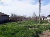 Объявление №5803482 - Билясувар, Билясувар, 5 сот