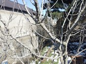 Satılır  torpaq 1.5 sot, Badamdar q., photo 7 from 7