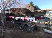 Elan №5804651 - Bakı, Sahil q., 4 otaqlı, 60 m²