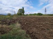 Satılır  torpaq 100 sot, photo 2 from 2