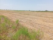 Продаётся  участок 522 сот, photo 3 from 3