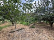 Объявление №5805179 - Баку, пос. Зых, 34 сот