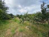 Продаётся  участок 34 сот, пос. Зых, photo 7 from 8