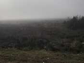 Satılır  torpaq 100 sot, photo 2 from 3