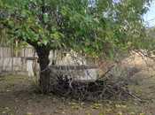 Продаётся  участок 12 сот, пос. Бильгях, photo 7 from 8