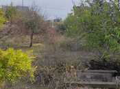 Продаётся  участок 12 сот, пос. Бильгях, photo 8 from 8