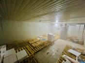 Сдаётся  объект 215 м², м. Дернегюль, photo 4 from 8