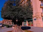 Satılır  obyekt 125 m², Ağ şəhər q., photo 2 from 5