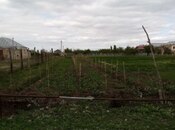 Elan №5807565 - Samux, Samux, 5 sot