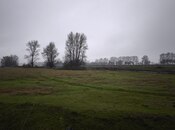 Elan №5808278 - Zaqatala, Zaqatala, 50 sot