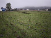 Satılır  torpaq 50 sot, Abşeron r., photo 2 from 4