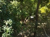 Продаётся  участок 4 сот, пос. М. Расулзаде, photo 4 from 8