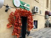 Объявление №5506676 - Баку, м. Ичеришехер, 45 м²