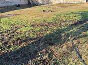 Объявление №5809018 - Шеки, Шеки, 6 сот