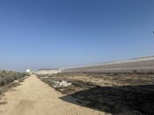 Объявление №5810356 - Баку, пос. Тюркан, 40000 м²