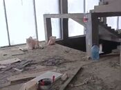 Сдаётся  объект 500 м², пос. Сахиль, photo 4 from 7