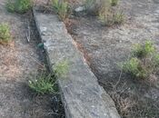 Продаётся  участок 100 сот, Пираллахи р., photo 4 from 8