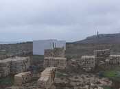 Продаётся  участок 100 сот, Пираллахи р., photo 8 from 8