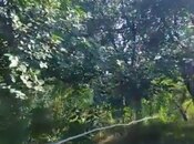 Продаётся 4-комн. дом/дача 150 м², photo 3 from 8