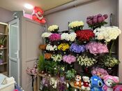 Satılır  obyekt 12 m², Sahil m., photo 2 from 8