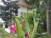 Satılır 10 otaqlı həyət evi/bağ evi 400 m², photo 2 from 8