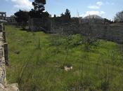 Продаётся  участок 23 сот, пос. Бильгях, photo 6 from 8