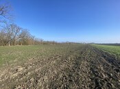 Satılır  torpaq 108 sot, Nabran r., photo 3 from 8