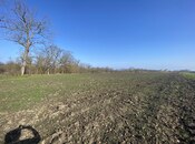 Satılır  torpaq 108 sot, Nabran r., photo 2 from 8