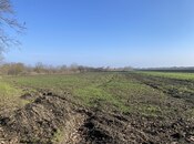 Satılır  torpaq 108 sot, Nabran r., photo 5 from 8