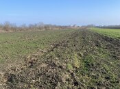 Elan №5812514 - Xaçmaz, Xaçmaz, 108 sot