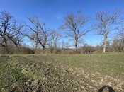 Satılır  torpaq 108 sot, Nabran r., photo 4 from 8