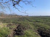 Satılır  torpaq 108 sot, Nabran r., photo 7 from 8