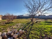 Elan №5812552 - Bakı, Albalılıq q., 10 sot