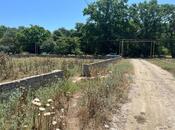 Satılır  torpaq 6 sot, Nabran r., photo 4 from 6