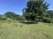 Продаётся  участок 16 сот, photo 5 from 8