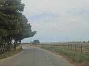 Продаётся  участок 100 сот, пос. Мамедли, photo 6 from 6